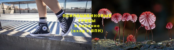 ПСИЛОЦИБИНОВЫЕ ГРИБЫ Балабаново