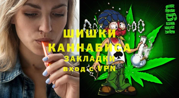 шишки Баксан