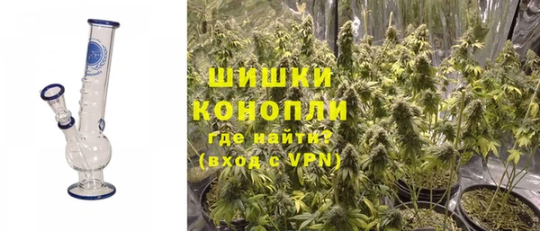 ПСИЛОЦИБИНОВЫЕ ГРИБЫ Балабаново