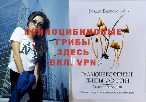 шишки Баксан