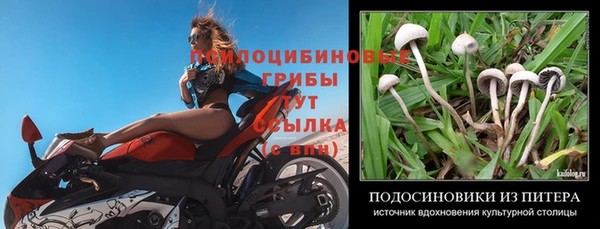 шишки Баксан