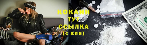 шишки Баксан