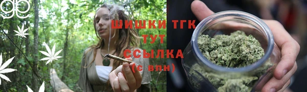 ПСИЛОЦИБИНОВЫЕ ГРИБЫ Балабаново