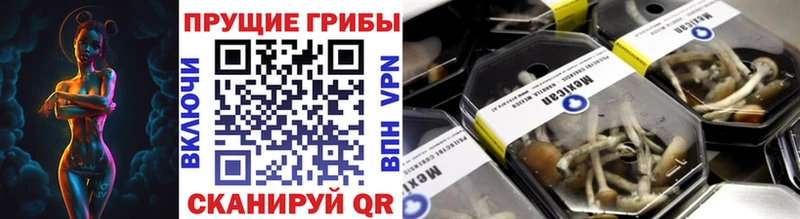 Галлюциногенные грибы Cubensis Городище